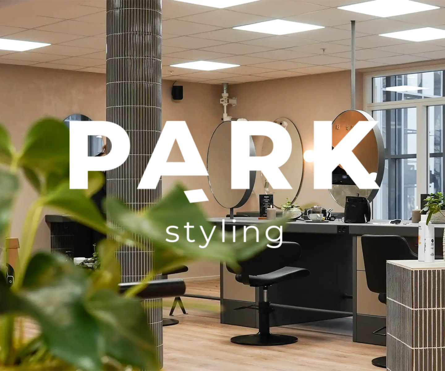 Park Styling