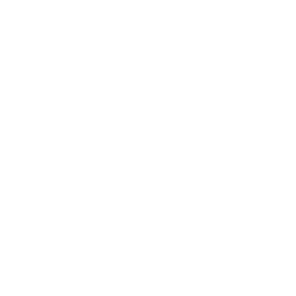Nordic Female Founders